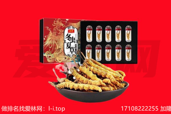 甘孜州炉霍回收虫草.jpg